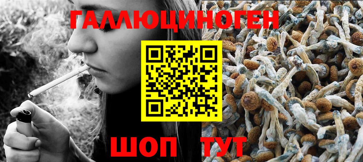 Псилоцибиновые грибы Magic Shrooms Крымск