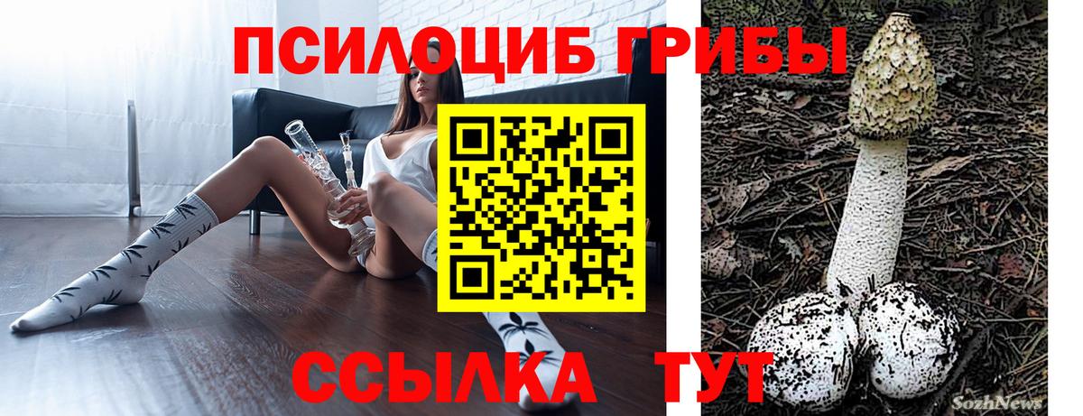 Галлюциногенные грибы мицелий  Вход с VPN  Крымск  что такое   Псилоцибиновые грибы Magic Shrooms 